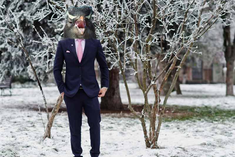 colder than a penguins tuxedo
