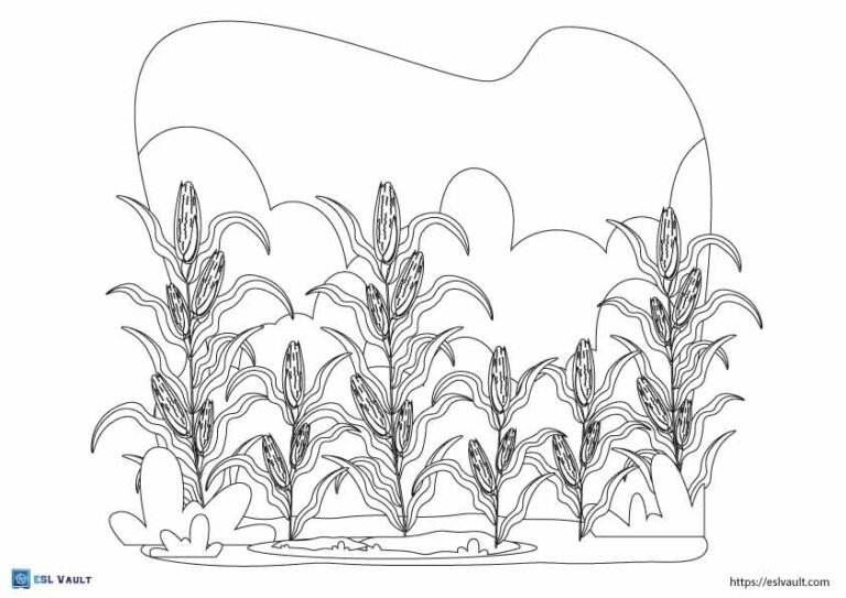 field of corn coloring pages