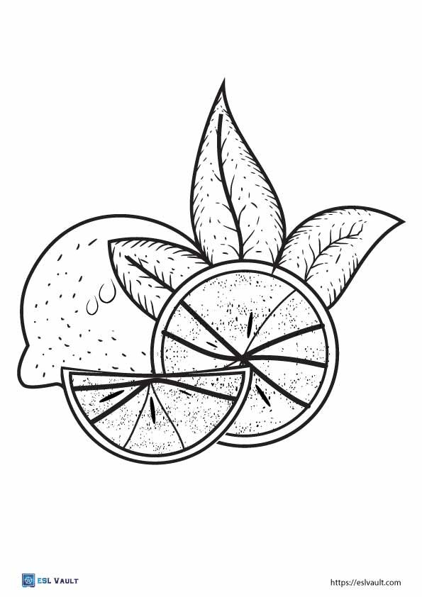 realistic lemon coloring pages