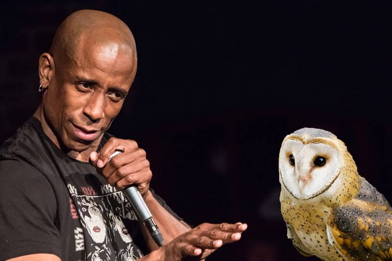to hoot someone down expression