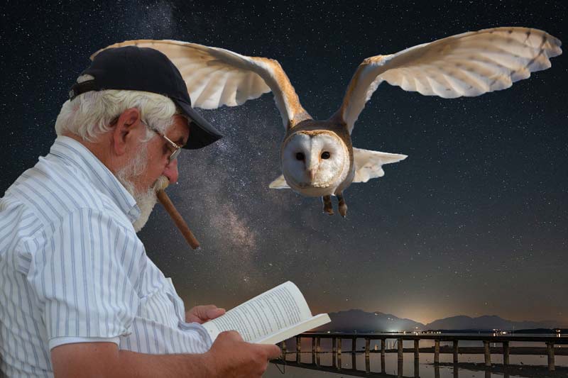 a night owl idiom