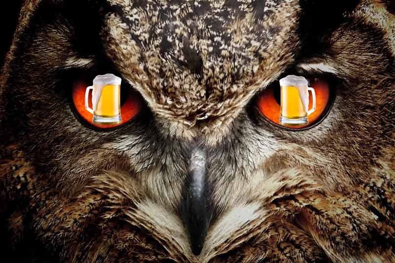 as stewed as an owl expression