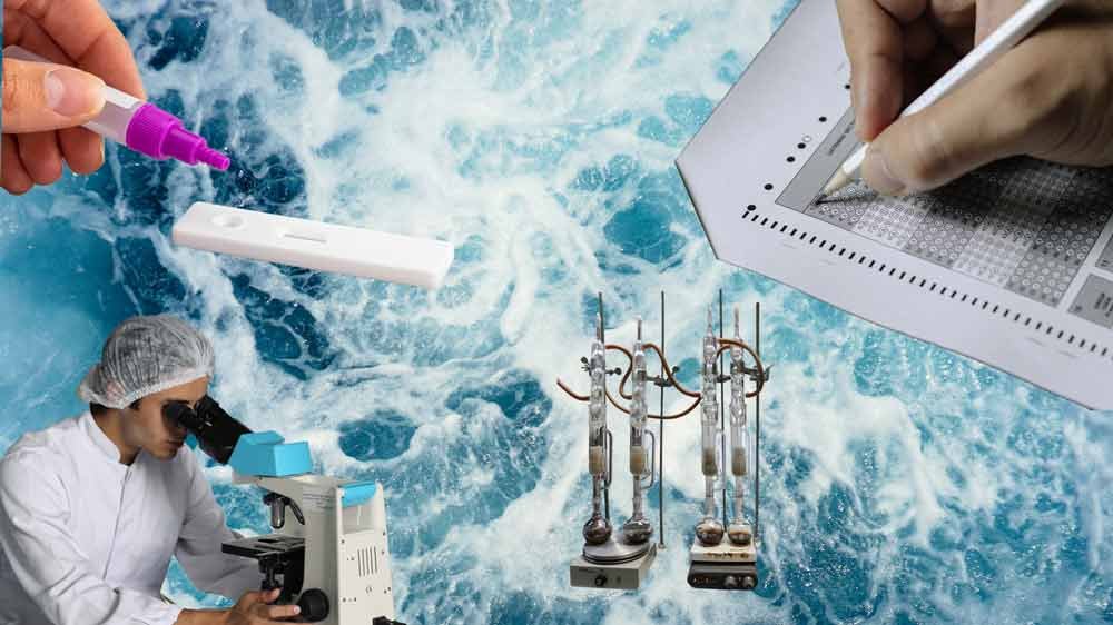 test the waters