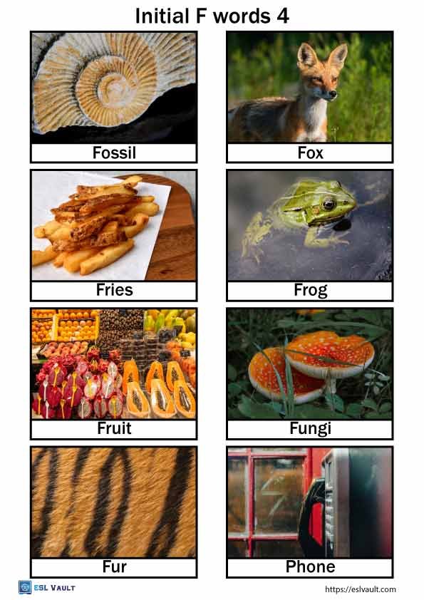 Initial F words free pictures 4