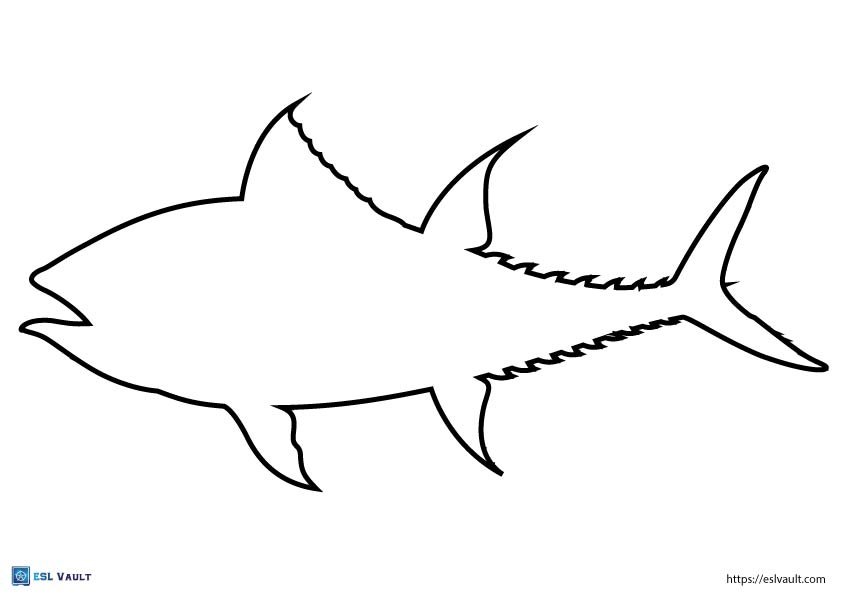 Free printable fish outline templates (18 PDFs) - ESL Vault