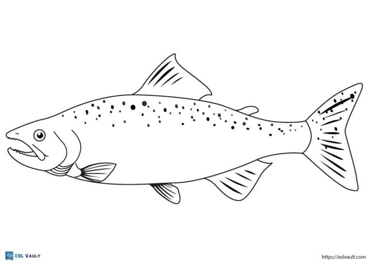 free salmon fish template pdf