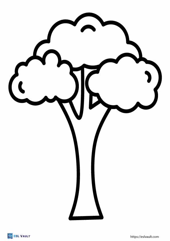 23 Free tree outline templates (PDF) - ESL Vault