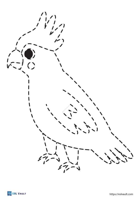 animal tracing worksheet cockatoo