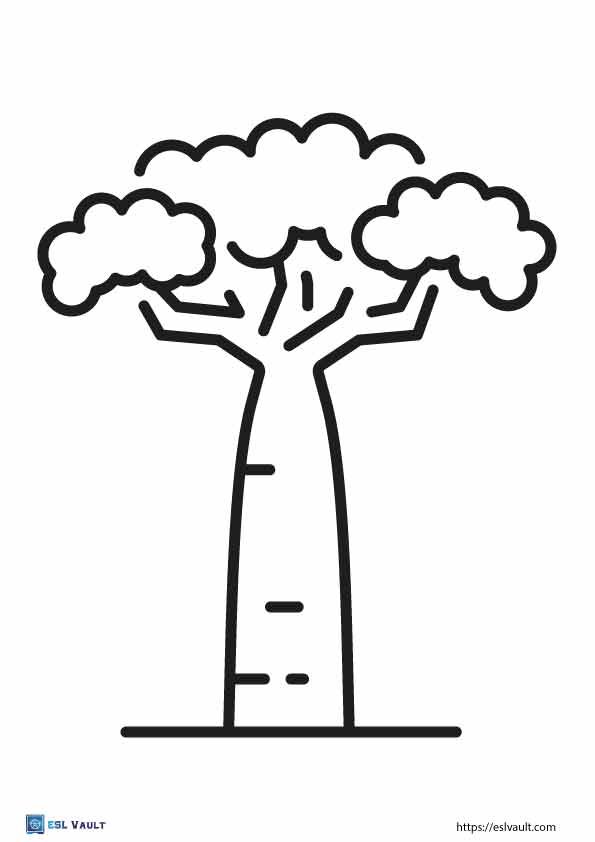 baobab tree outline