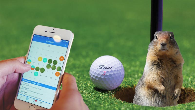 busier than a gopher on a golf course