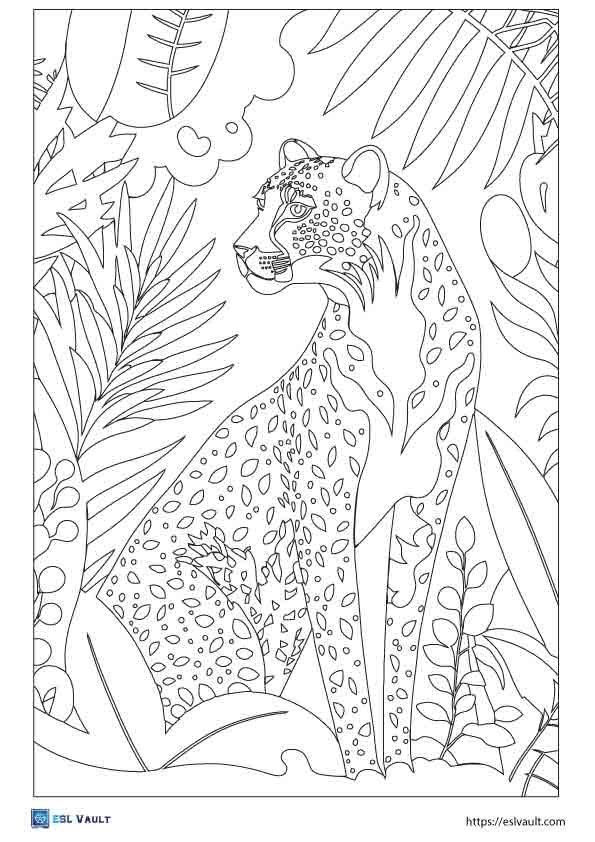 cheetah coloring picture for adults