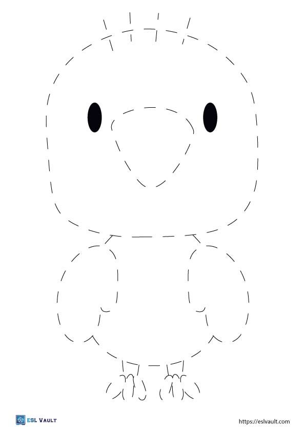easy animal tracing page bird