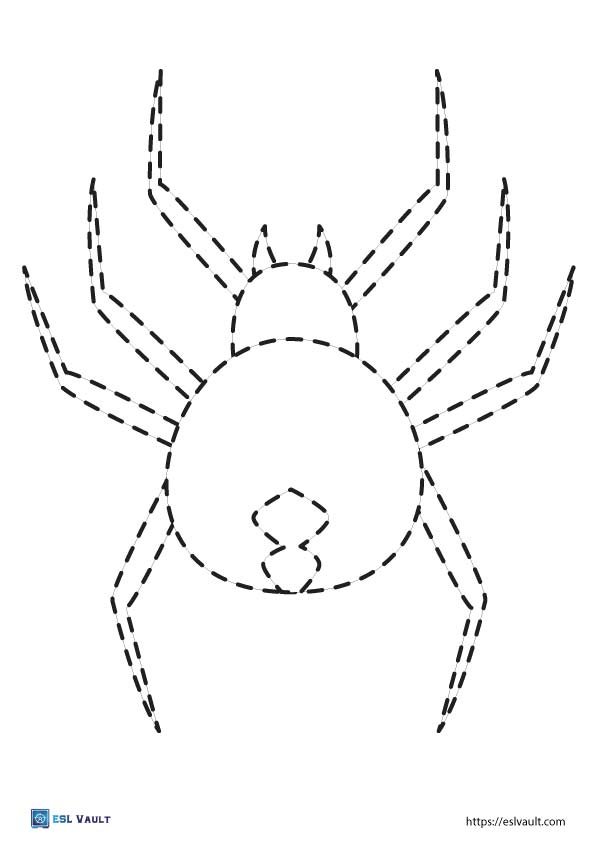 pdf animal tracing worksheet spider