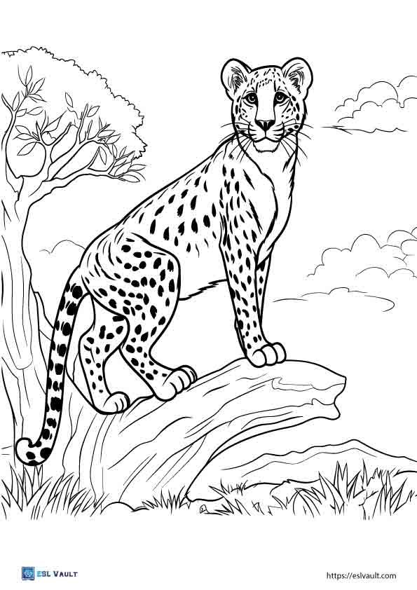 realistic cheetah coloring pages 2