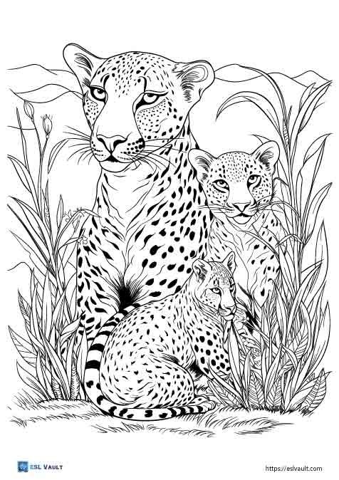 realistic cheetah coloring pages 3