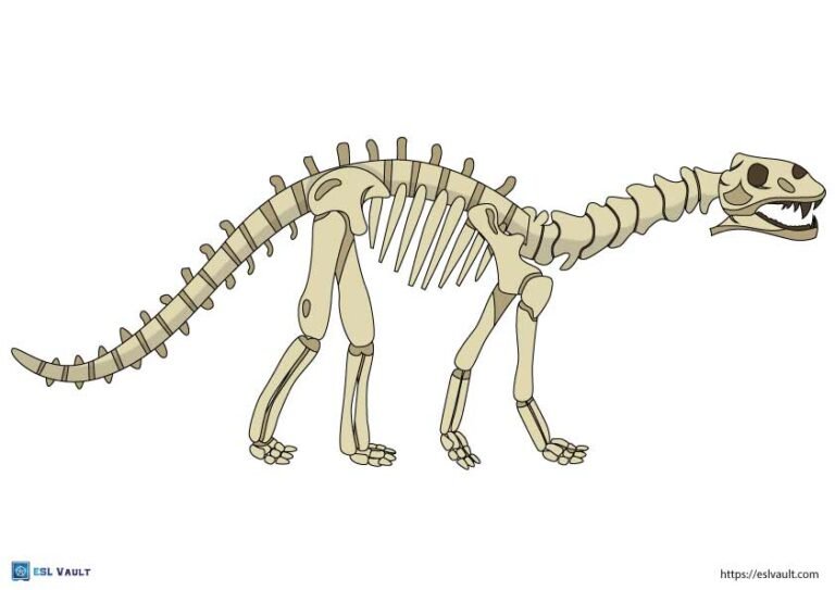 dinosaur skeleton template brontosaurus