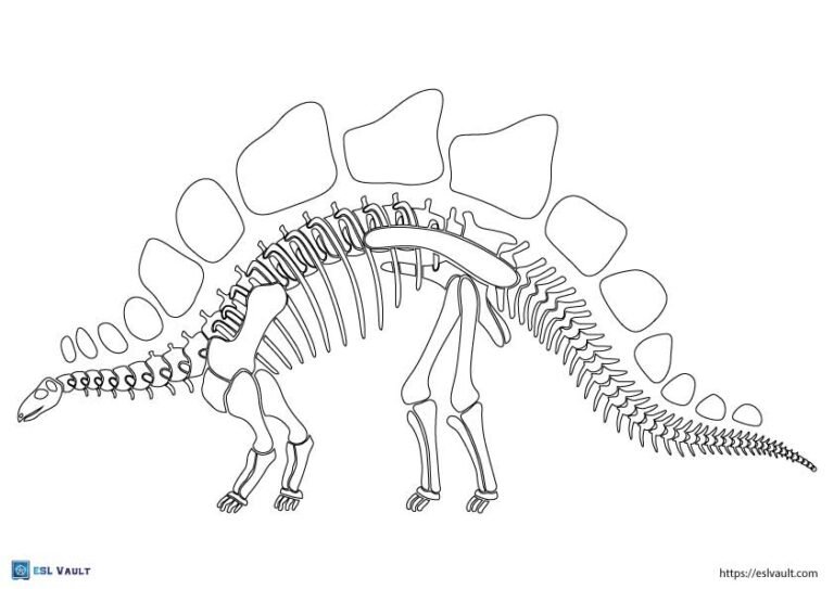 dinosaur skeleton template stegosaurus