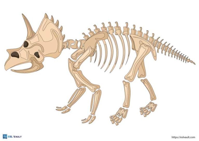 dinosaur skeleton printable triceratops
