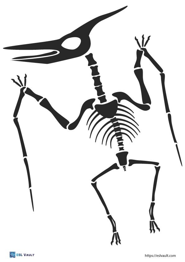 printable dinosaur skeleton Pterodactyl.