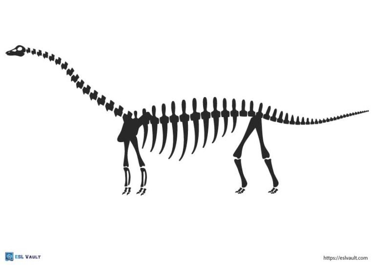 printable dinosaur skeleton diplodocus