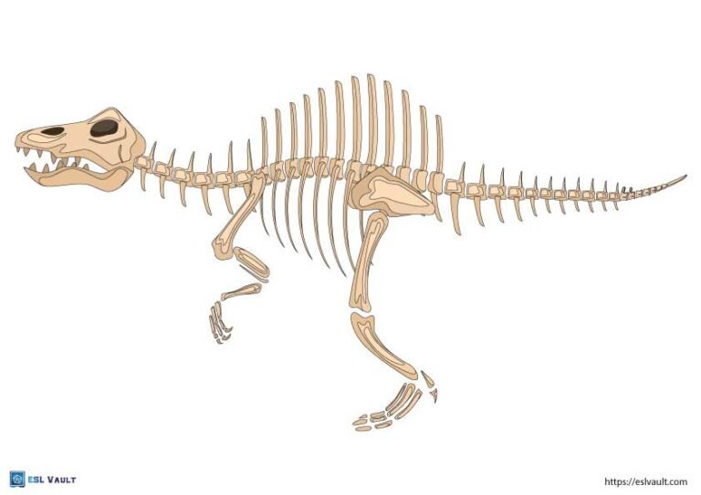 printable dinosaur skeleton spinosaurus.