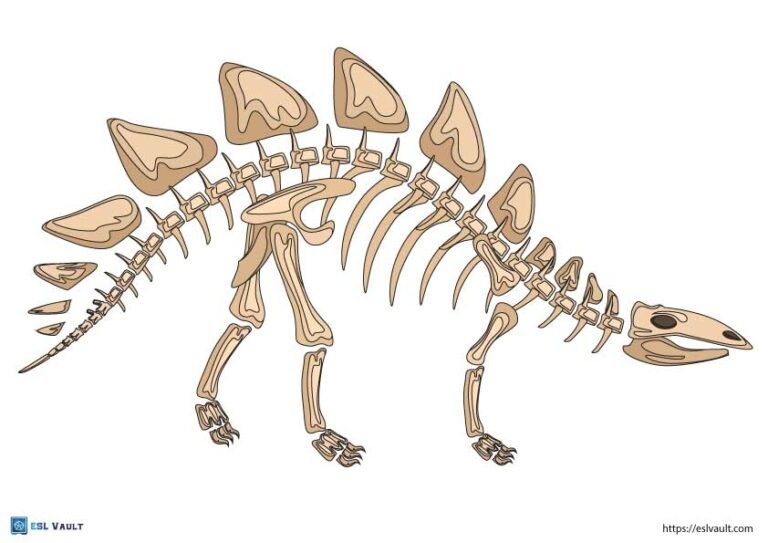 printable dinosaur skeleton stegosaurus
