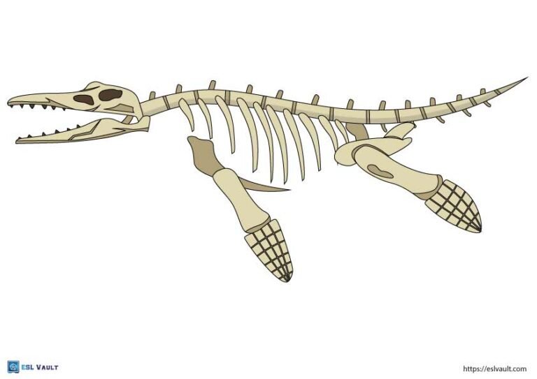 printable dinosaur skeleton pliosaurus