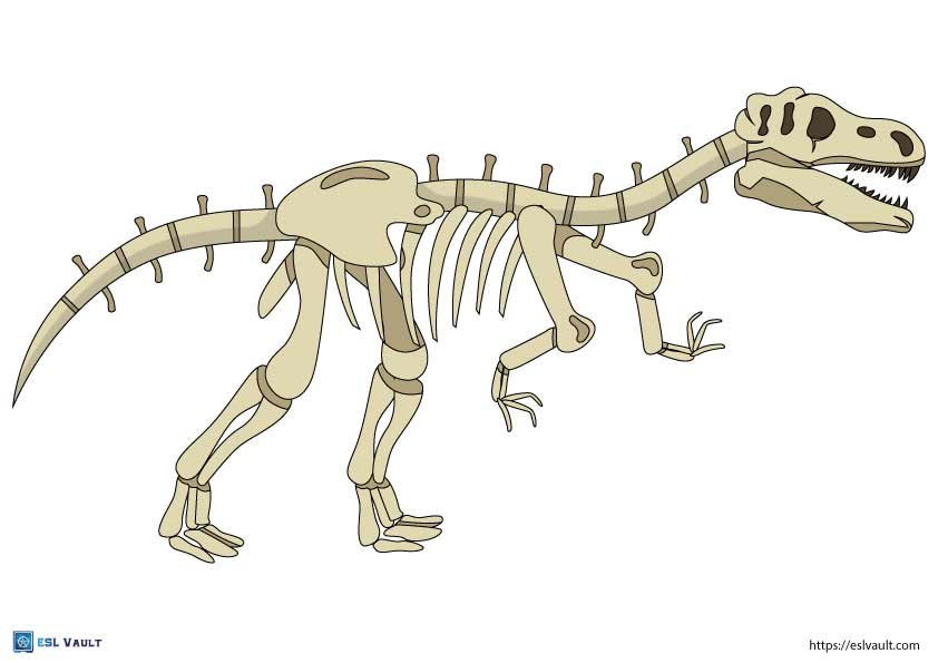 20 Free printable dinosaur skeletons (PDF) - ESL Vault