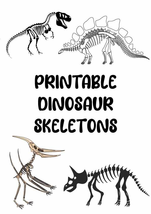 printable dinosaur skeletons