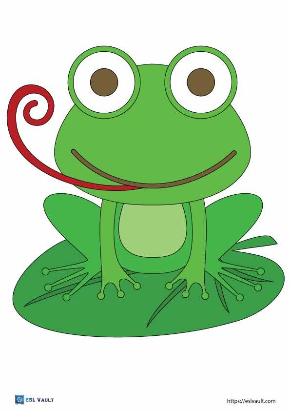 printable frog craft key