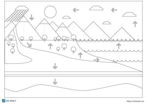 12 Free water cycle coloring pages and diagrams - ESL Vault