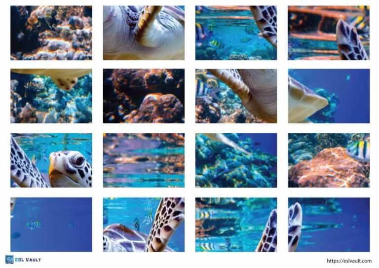 sea turtle paper craft puzzle