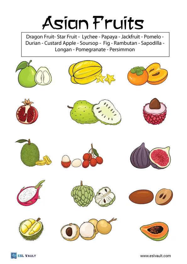 Asian fruits vocabulary matching worksheet
