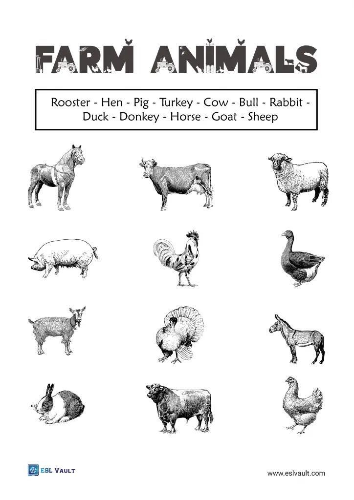 farm animals vocabulary