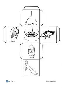printable activity dice with body part pictures