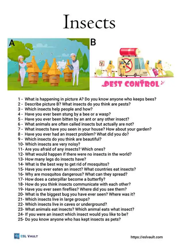25 insects conversation questions for ESL