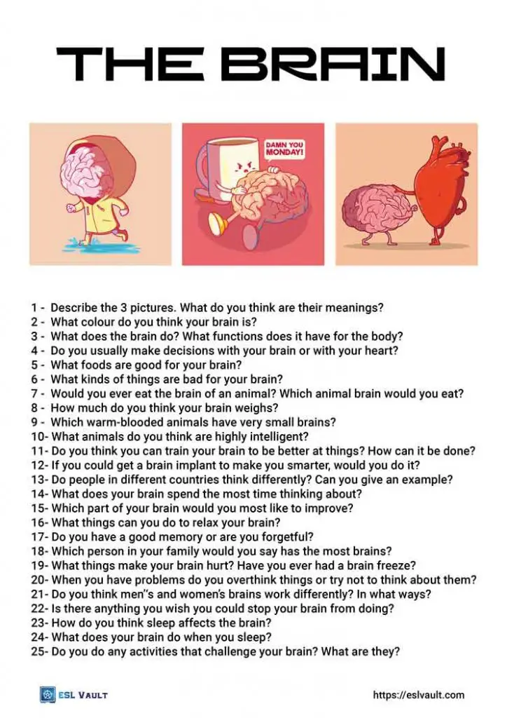 brain conversation questions
