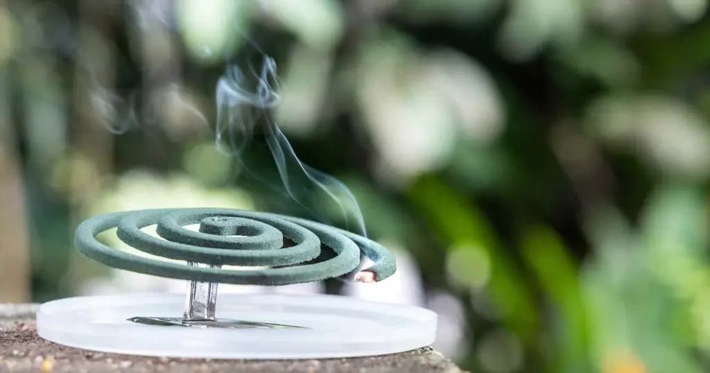 a burning mosquito coil for repelling inscets