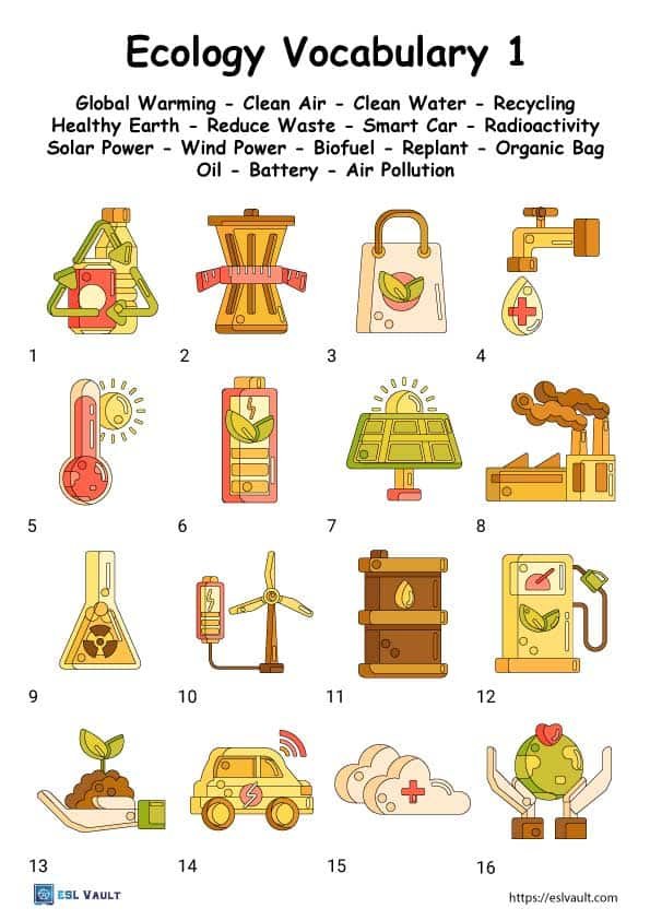 Free Ecology Vocabulary Worksheet Pdfs ESL Vault