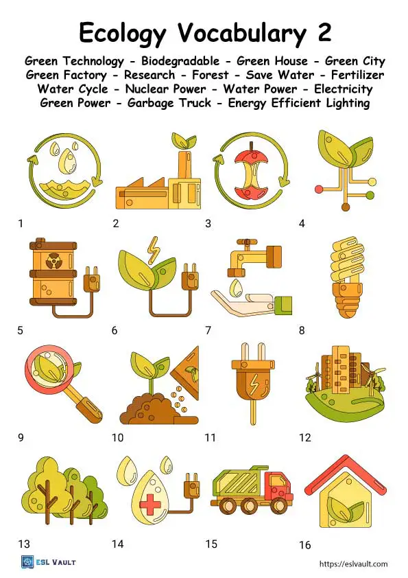 ecology vocabulary worksheet free