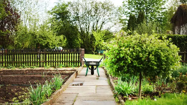a wheelbarrow on a garden path
