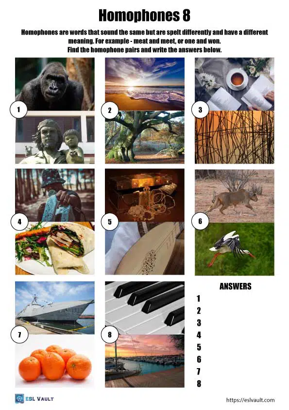 difficult homophones worksheet 8