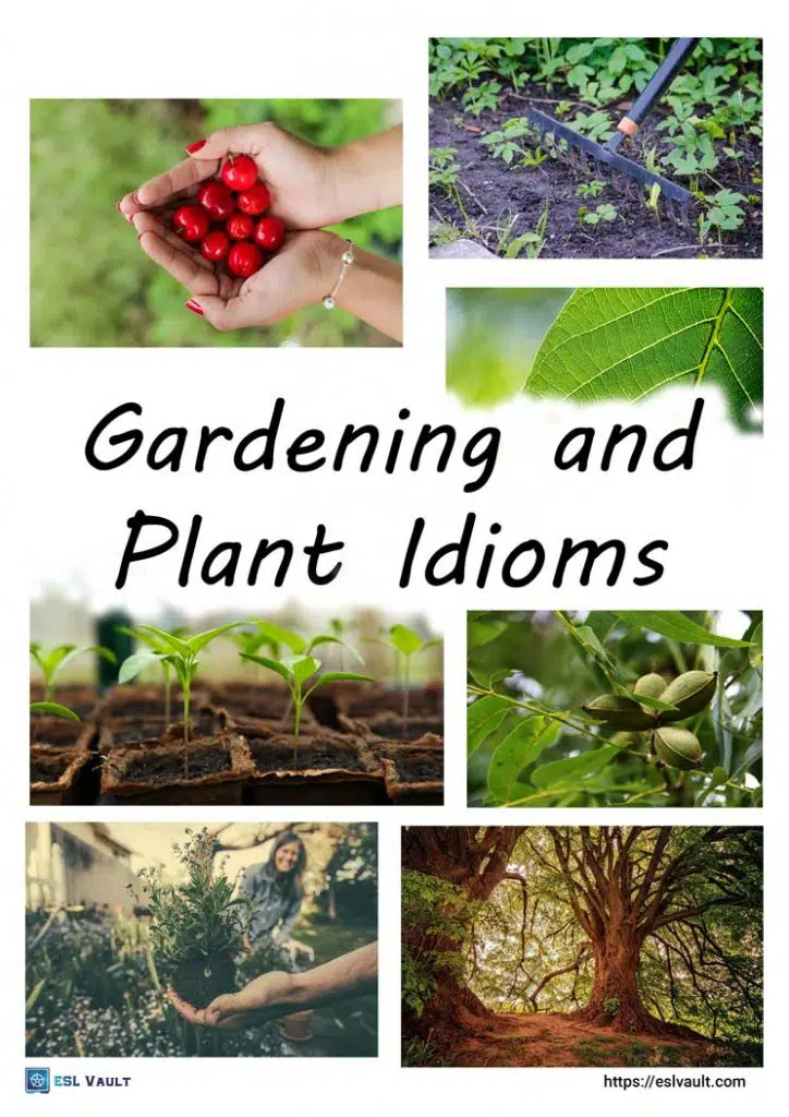 gardening and plant idioms poster