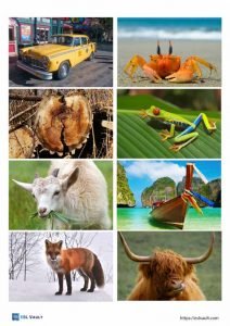 rhyming words for kids pictures 1