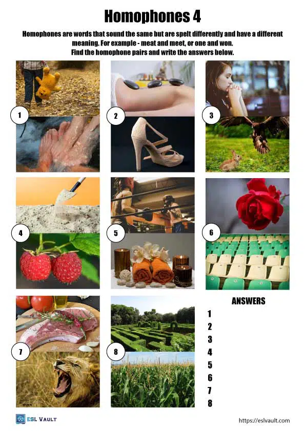 vocabulary homophones worksheet 4