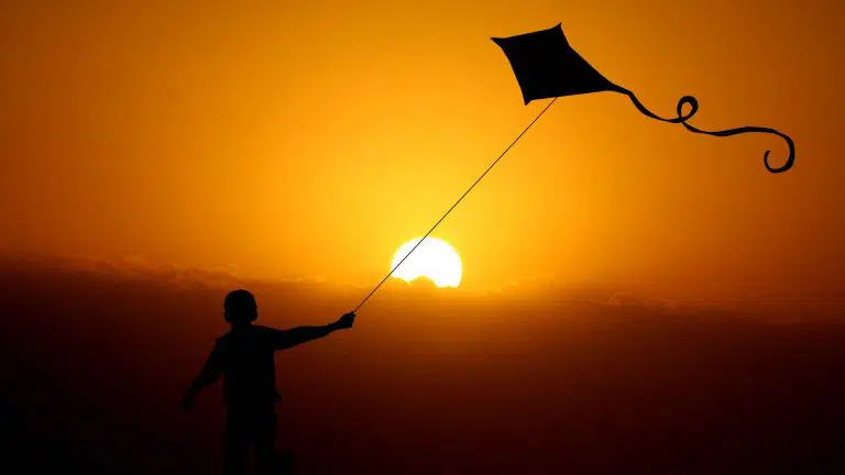child with a kite