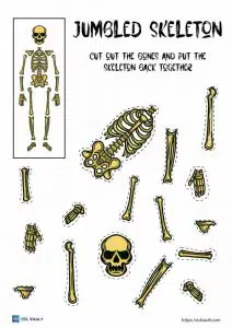 jumbled up skeleton craft printable