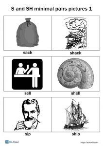 s and sh minimal pairs cards 1