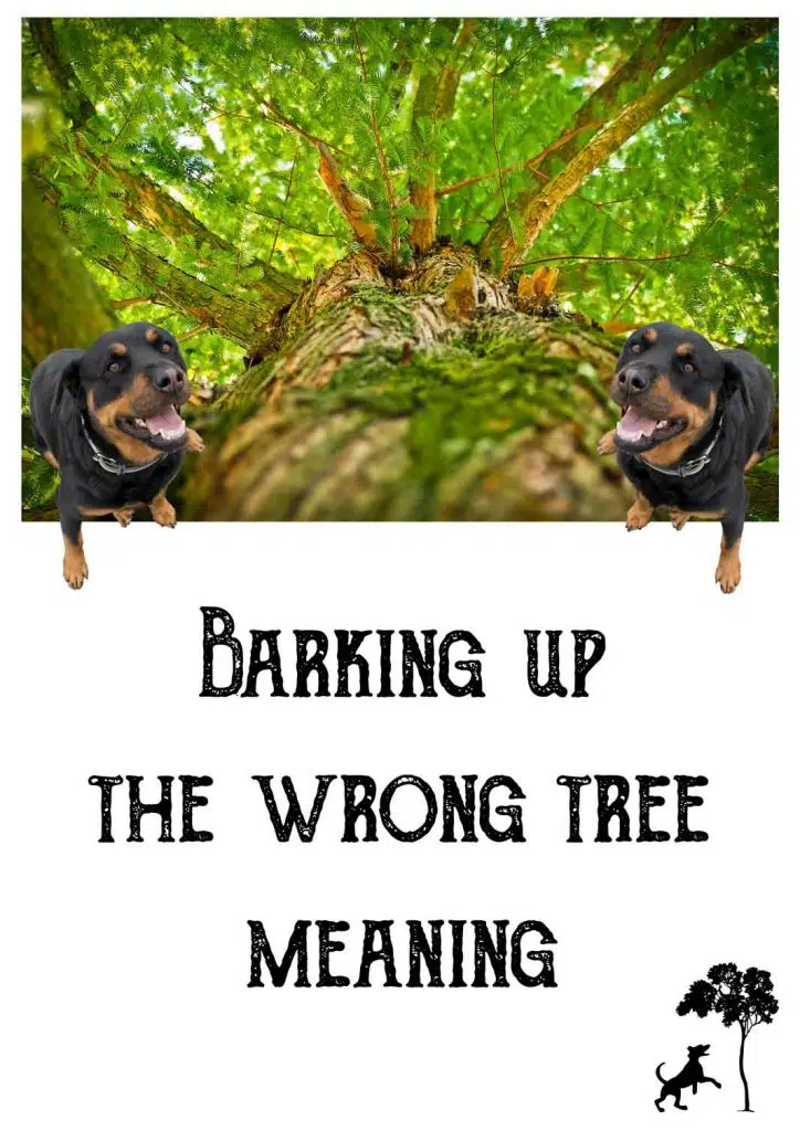 what does a dog bark up the wrong tree mean