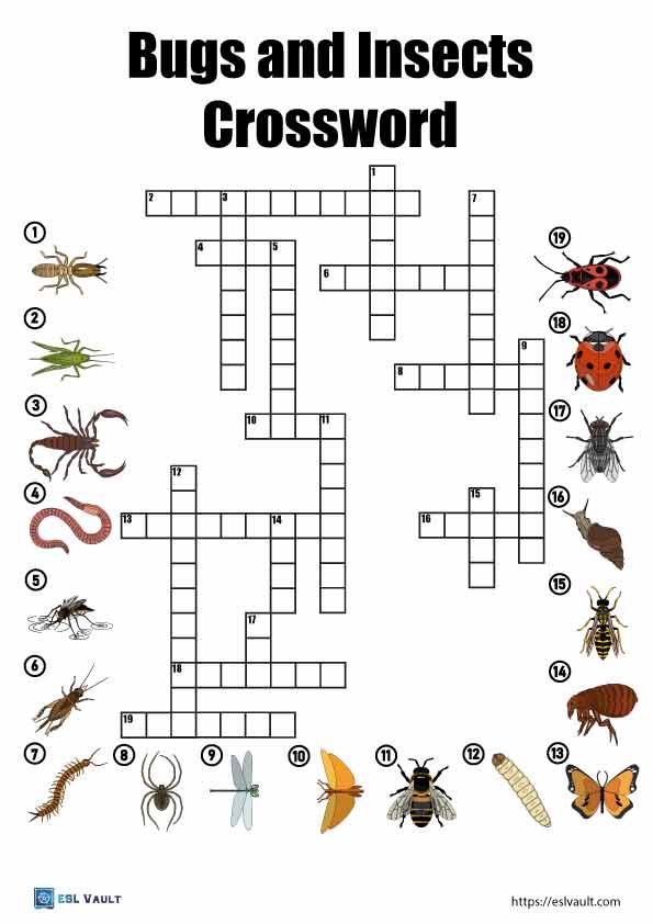 bugs and insects crossword